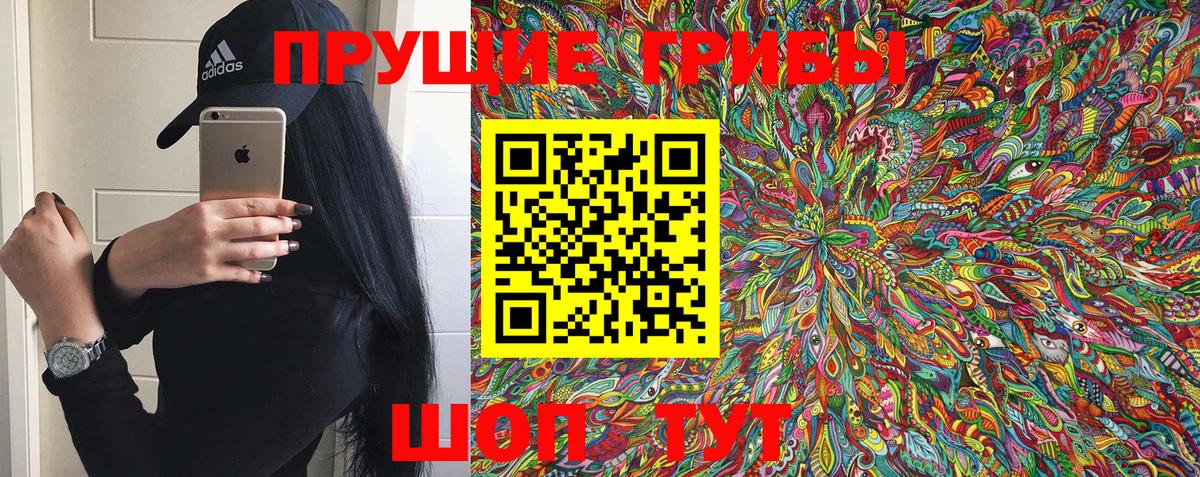 Галлюциногенные грибы Psilocybine cubensis  Вход с VPN  Железноводск 